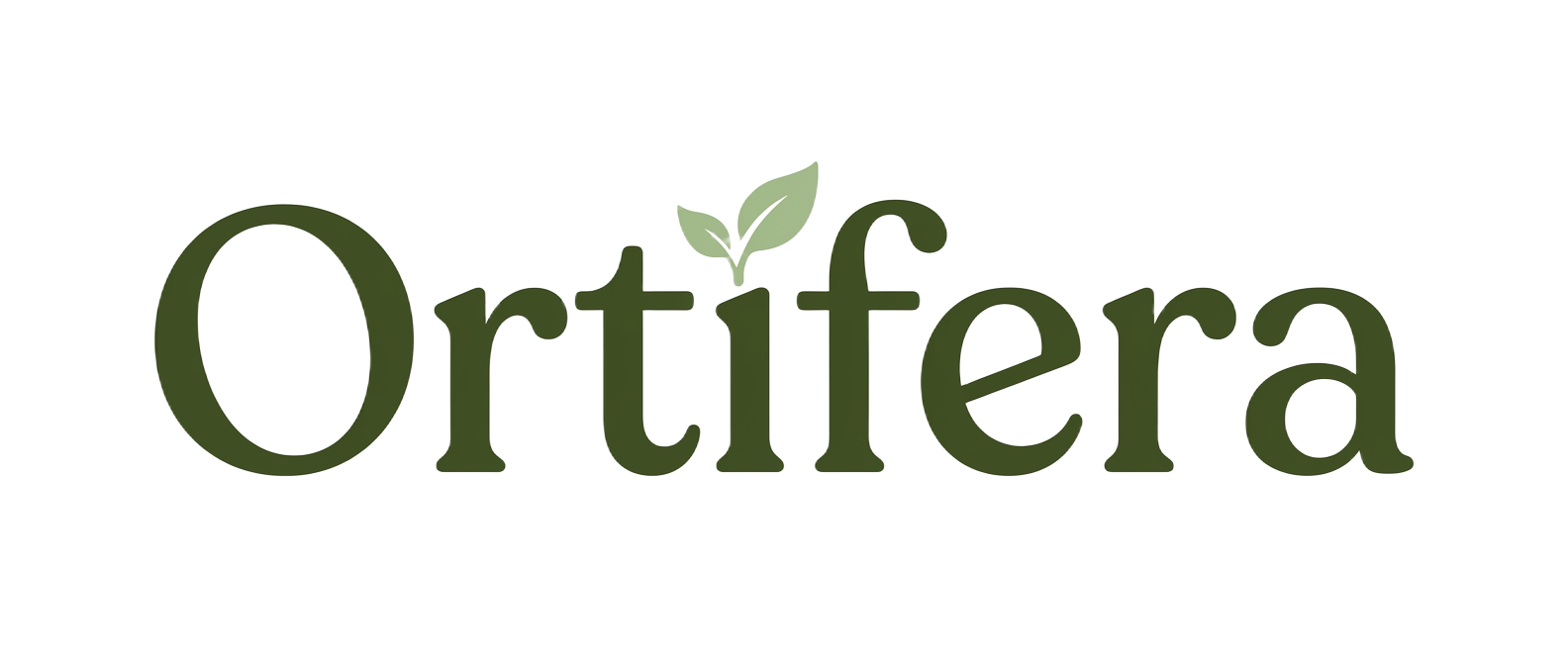 Ortifera