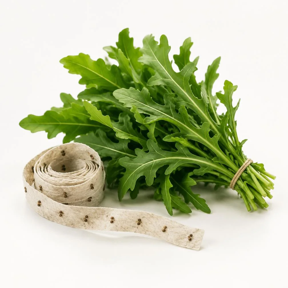 Rucola fresca e nastro preseminato su fondo chiaro