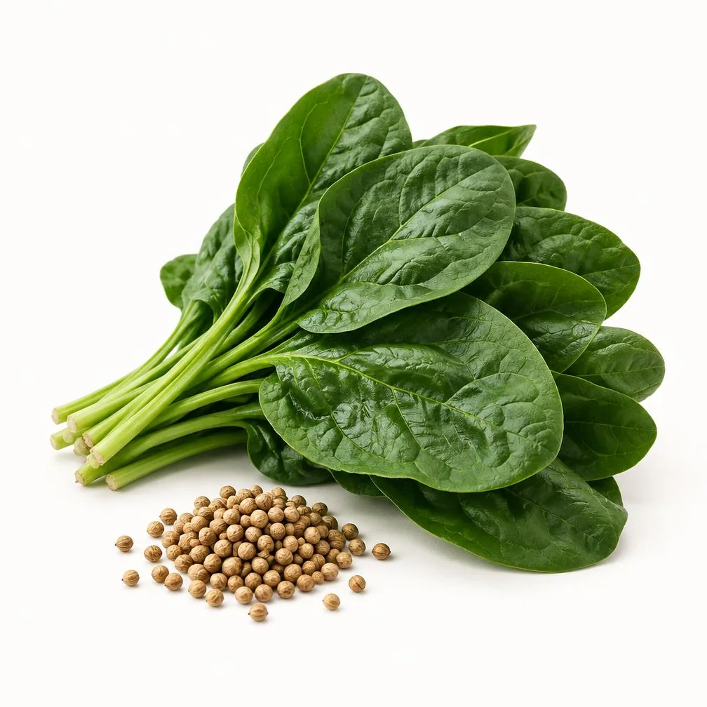 Foglie di spinaci e semi su fondo chiaro